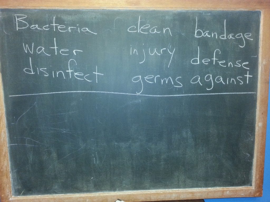 Word bank for science on ways to defend oneself against bacteria.